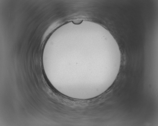 X0000076400004200611031734