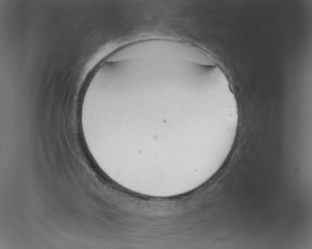 X0000076400008200611031734