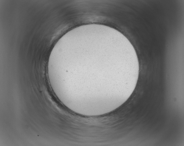 X0000076400010200611031734