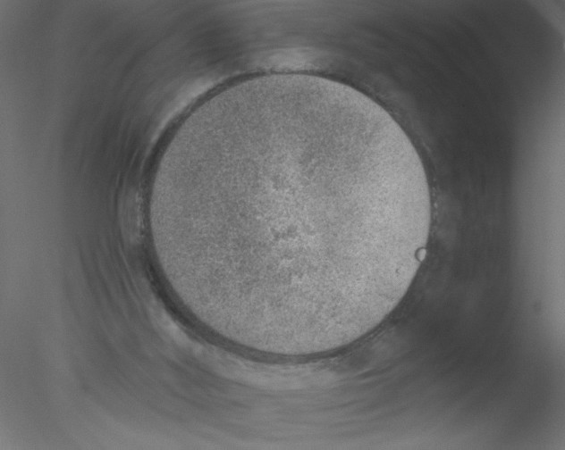 X0000076400012200611031734