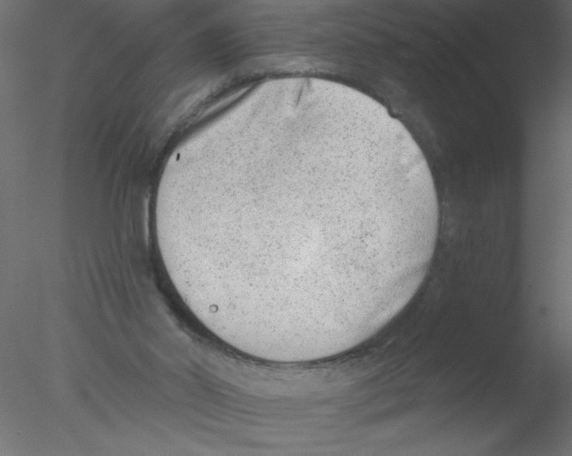 X0000076400014200611031733