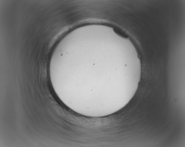 X0000076400015200611031733