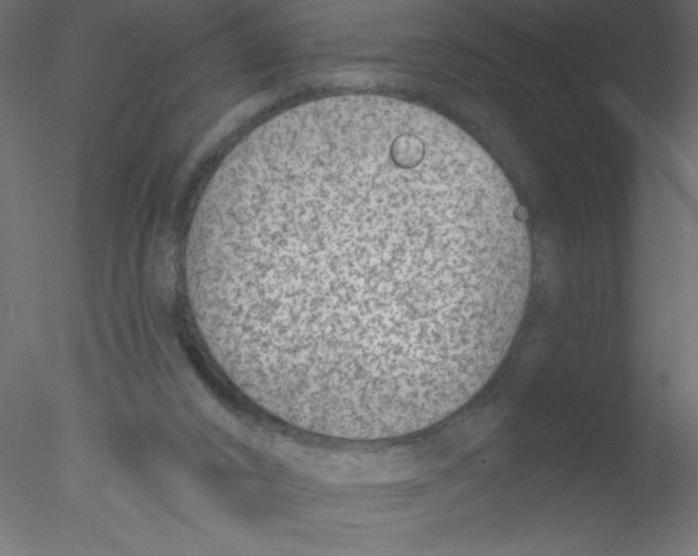 X0000076400016200611031733