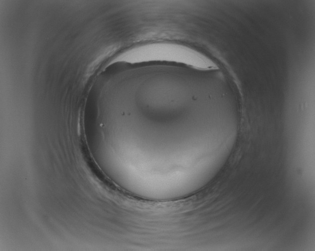 X0000076400019200611031733