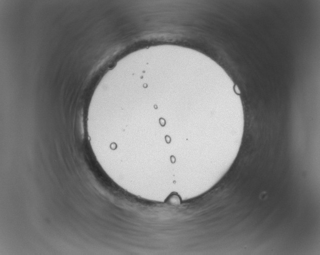 X0000076400020200611031733