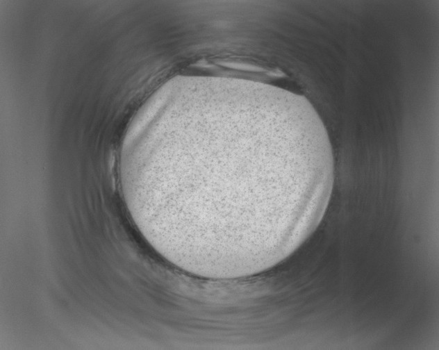 X0000076400022200611031733