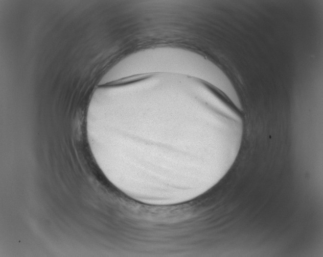 X0000076400026200611031733