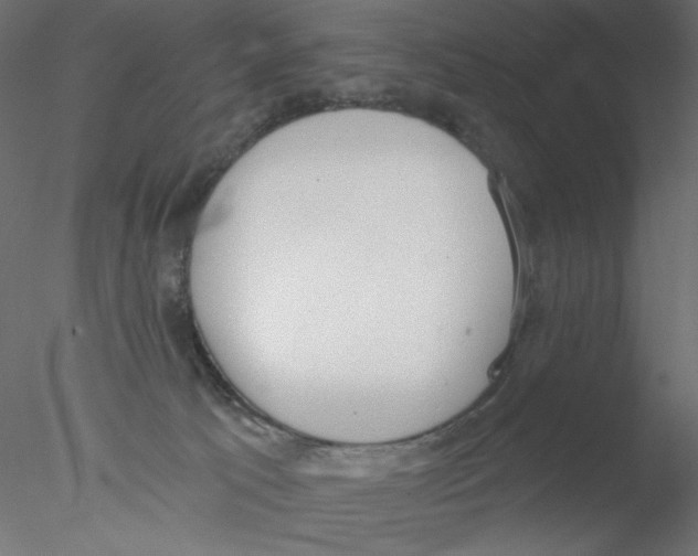 X0000076400033200611031733