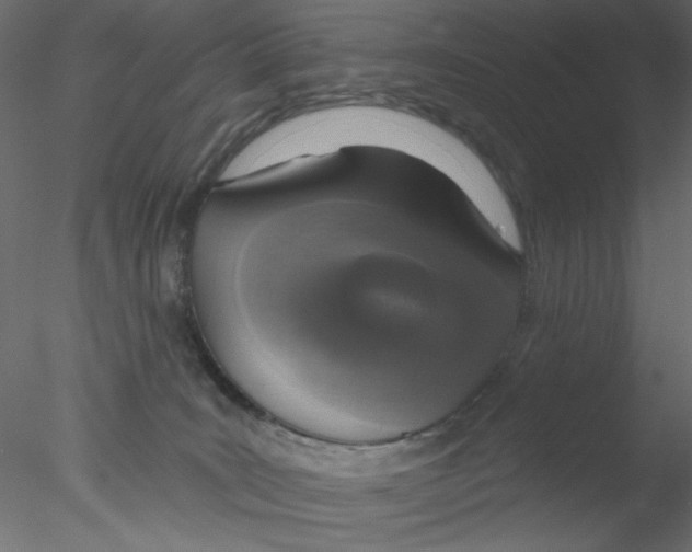 X0000076400035200611031733