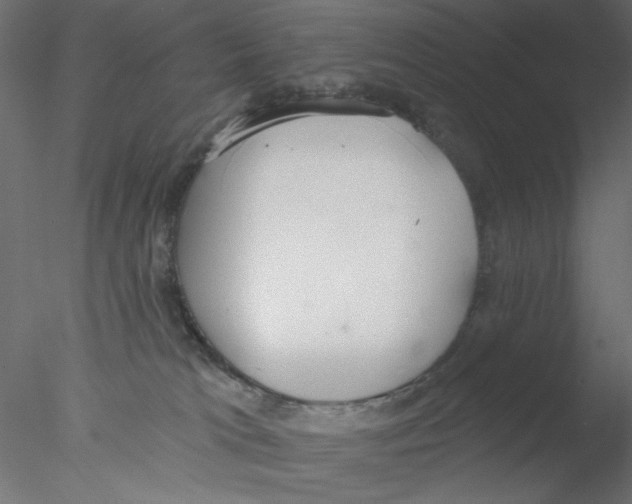 X0000076400037200611031733