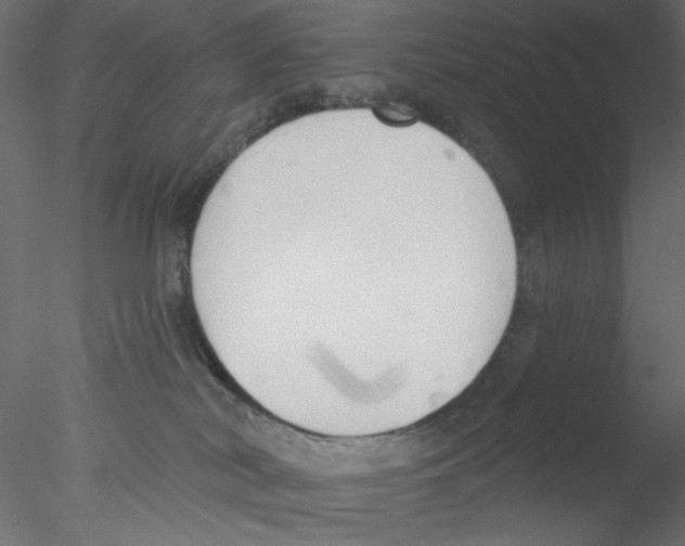 X0000076400038200611031733