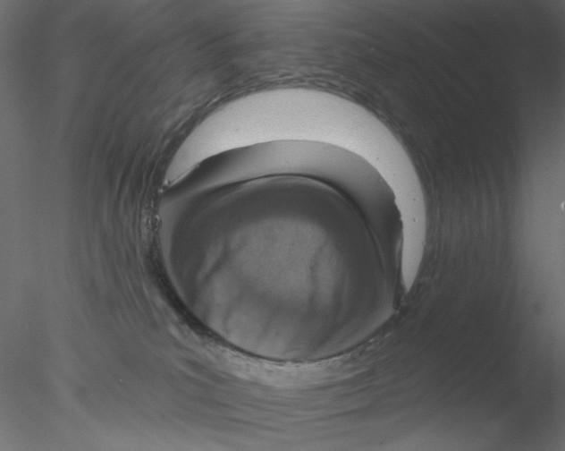 X0000076400039200611031733