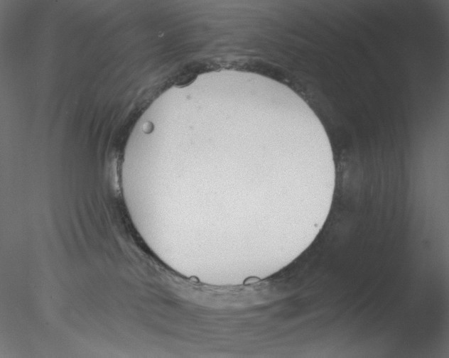 X0000076400042200611031733