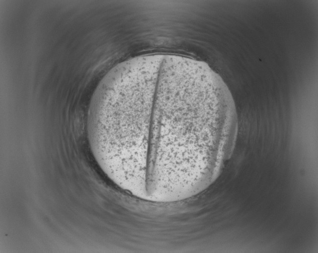 X0000076400043200611031733