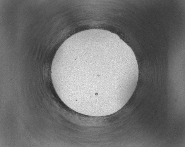 X0000076400044200611031733