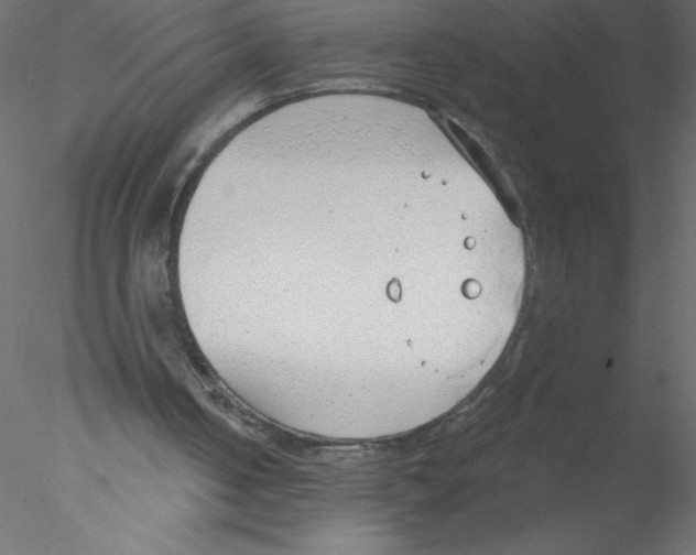 X0000076400050200611031732