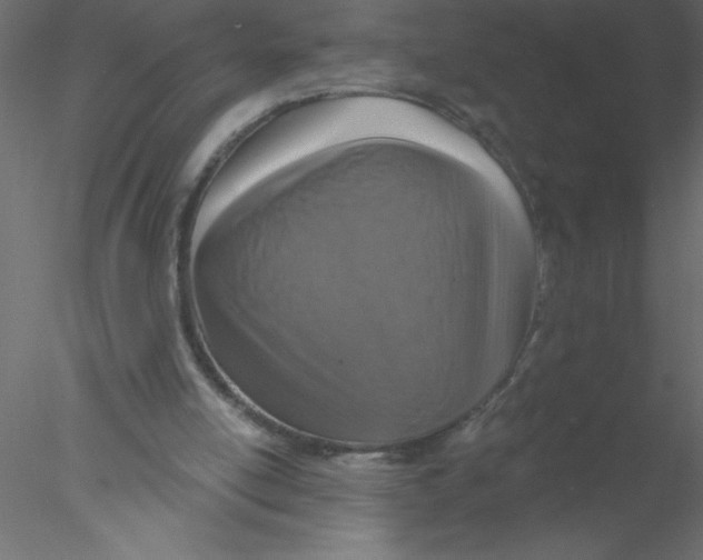 X0000076400054200611031732