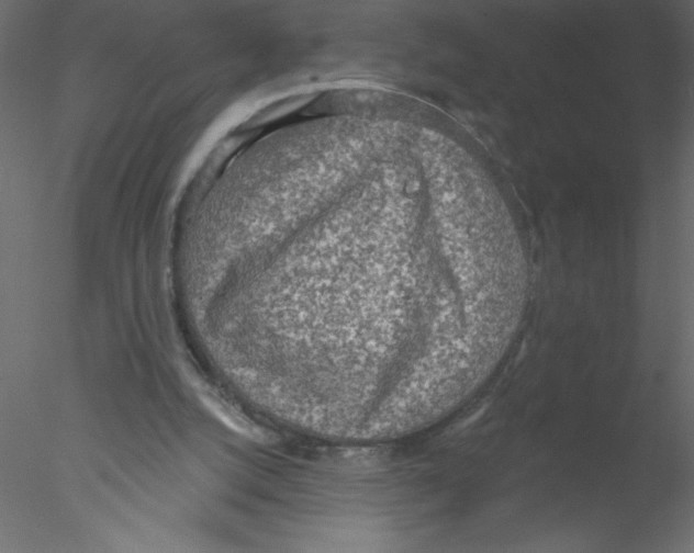 X0000076400056200611031732