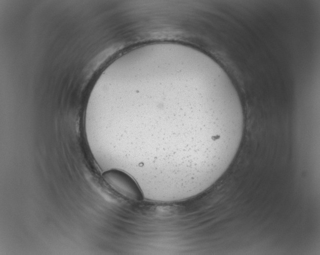 X0000076400060200611031732