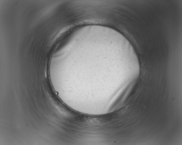 X0000076400062200611031732