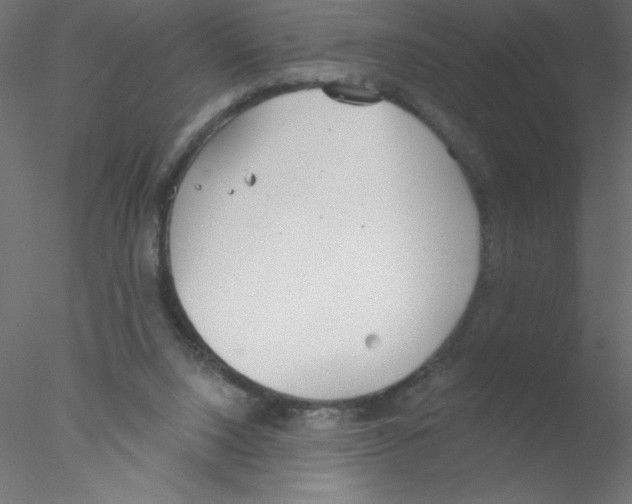 X0000076400064200611031732