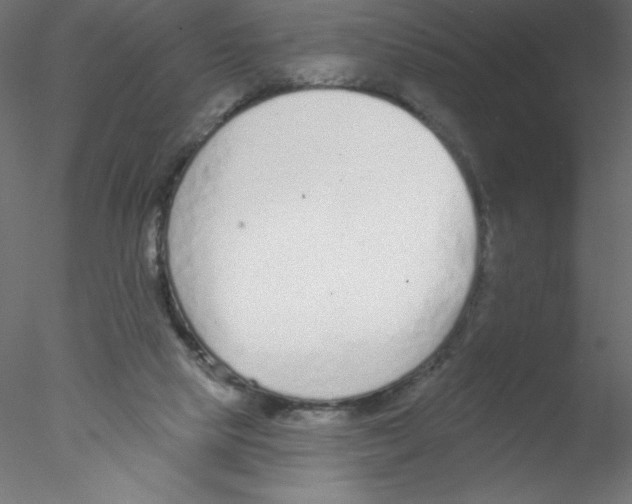 X0000076400065200611031732