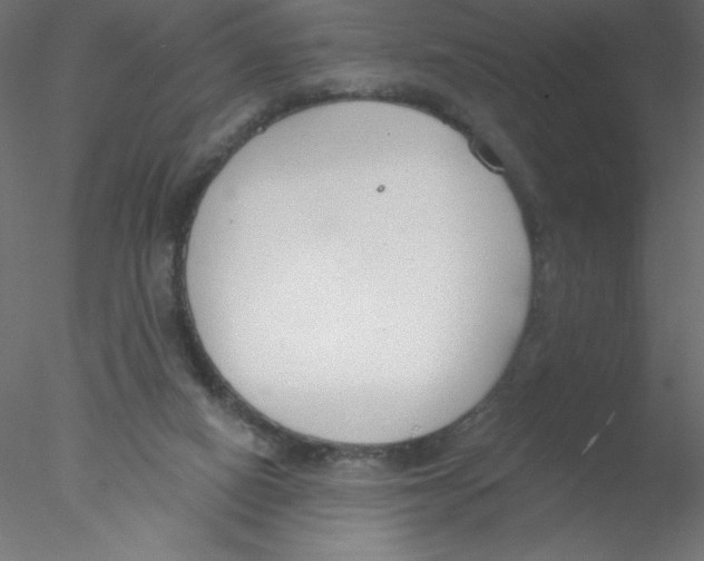 X0000076400066200611031732