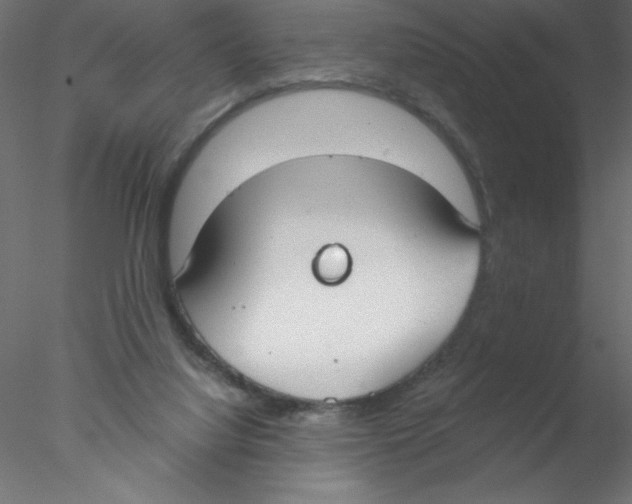 X0000076400068200611031732