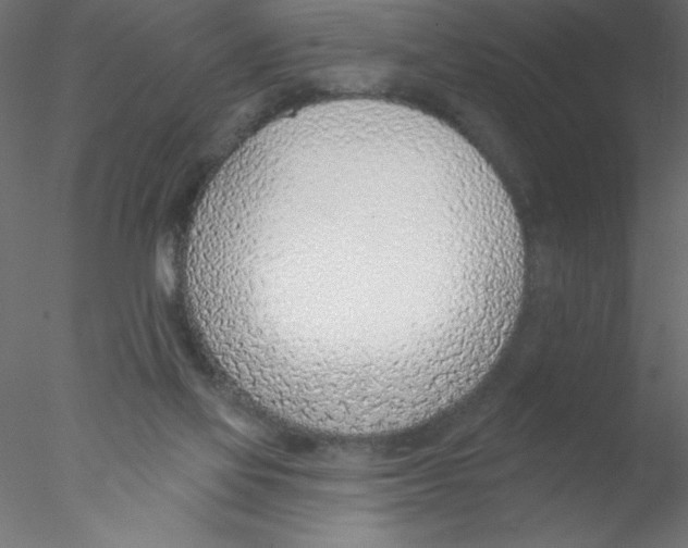 X0000076400069200611031732