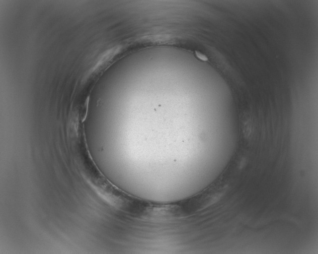 X0000076400072200611031732