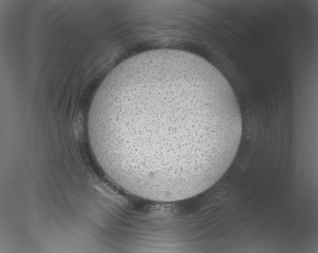 X0000076400077200611031733