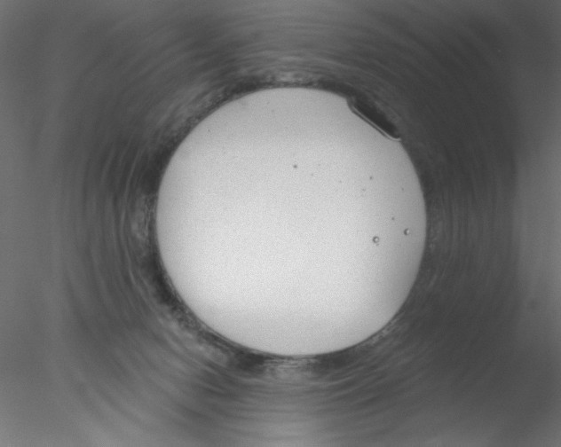 X0000076400078200611031733