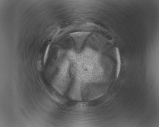 X0000076400080200611031733