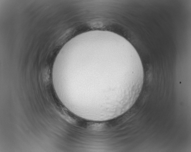 X0000076400081200611031733