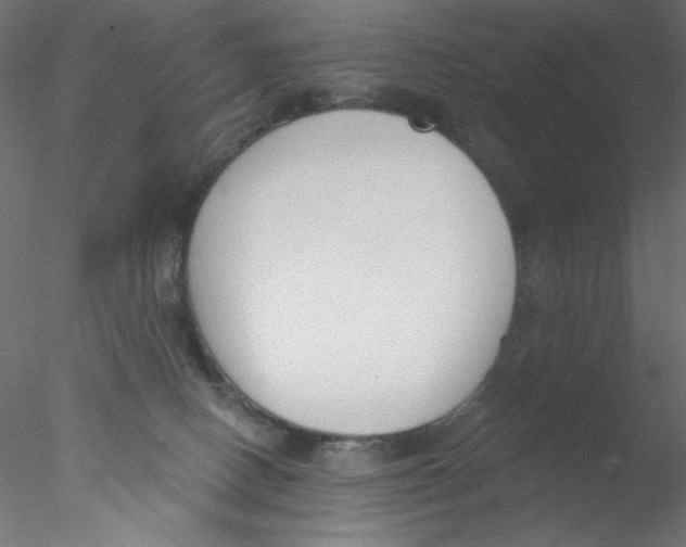 X0000076400082200611031733