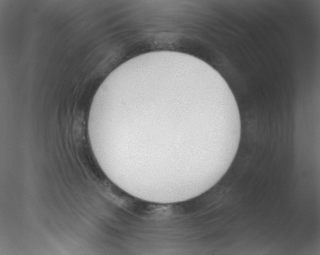 X0000076400083200611031733