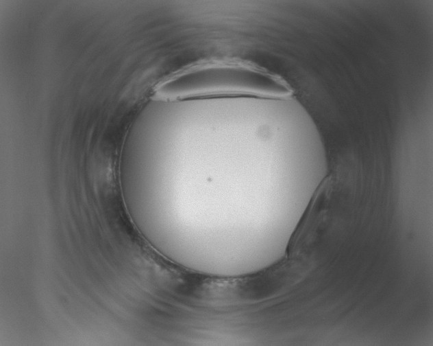 X0000076400084200611031733