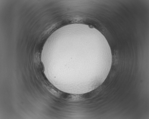 X0000076400093200611031733