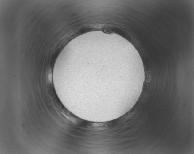 X0000076400095200611031733