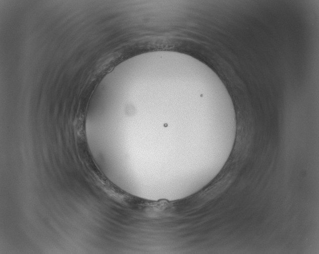 X0000076400096200611031733