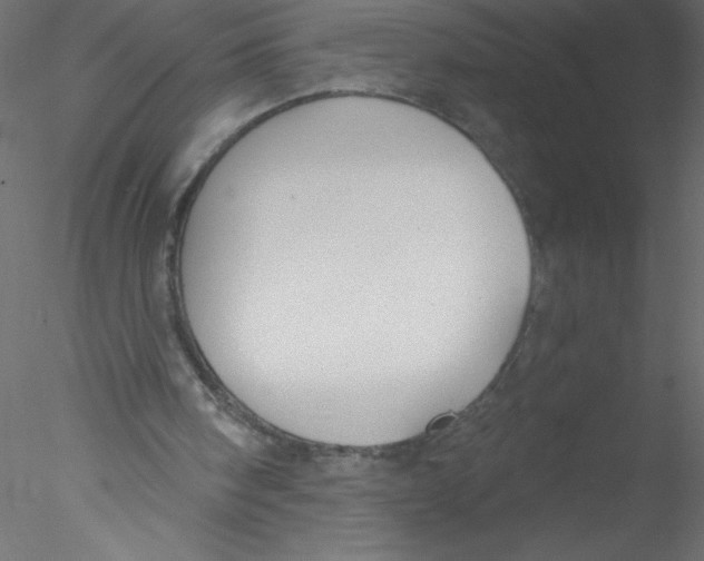 X0000076400098200611031732