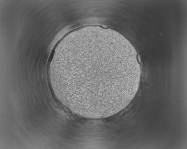 X0000076400099200611031732