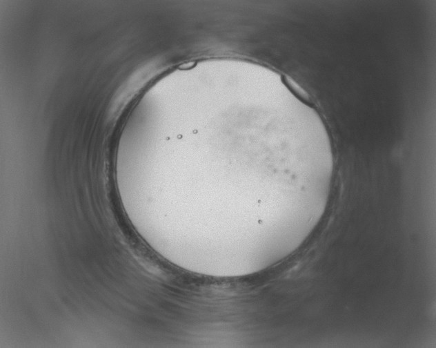 X0000076400103200611031732