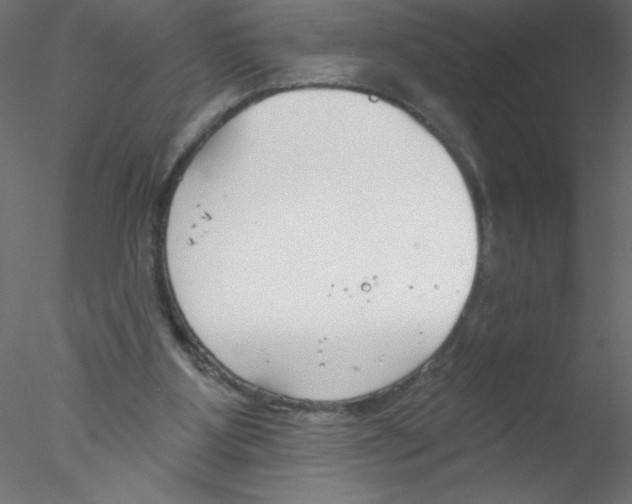 X0000076400107200611031732