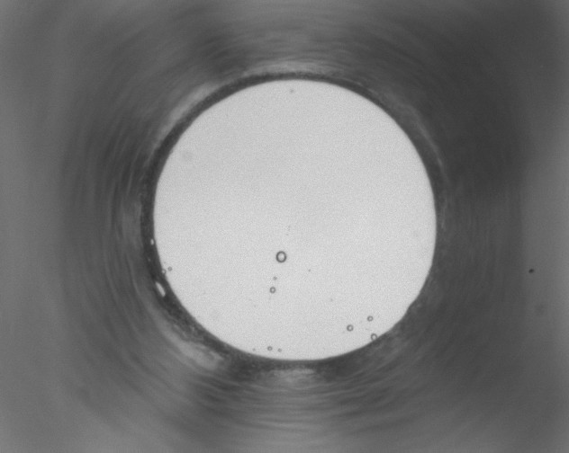 X0000076400108200611031732