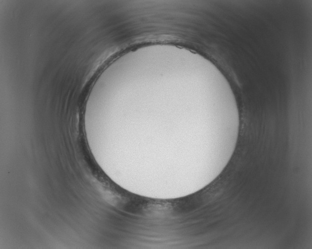 X0000076400110200611031732