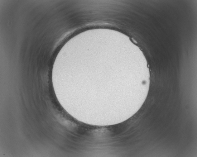 X0000076400112200611031732