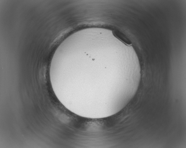 X0000076400115200611031732