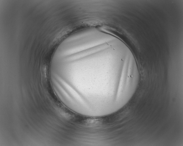 X0000076400117200611031732