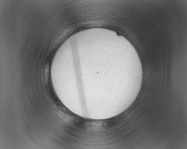 X0000076400118200611031732